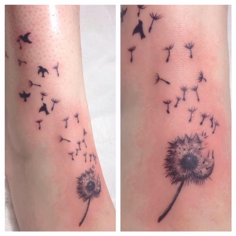 Dandelion