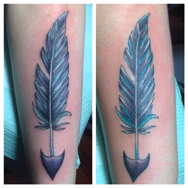 Feather arrows