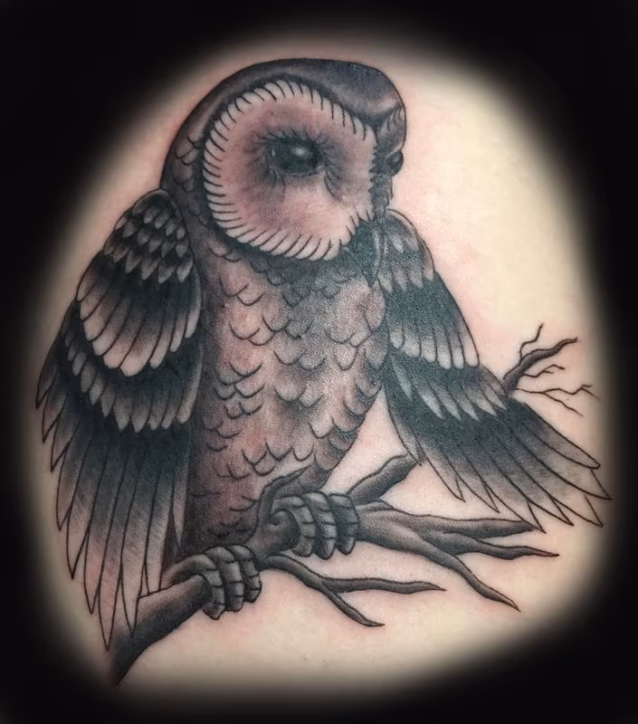 Owl TATTOO