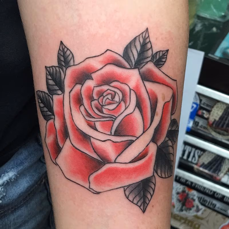 rose red