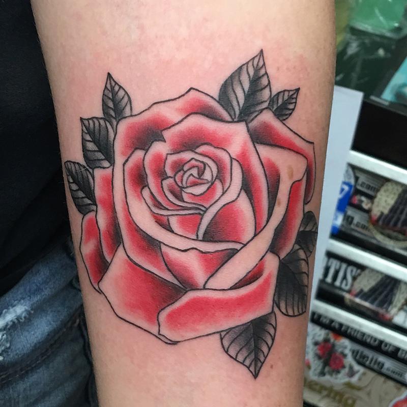rose red