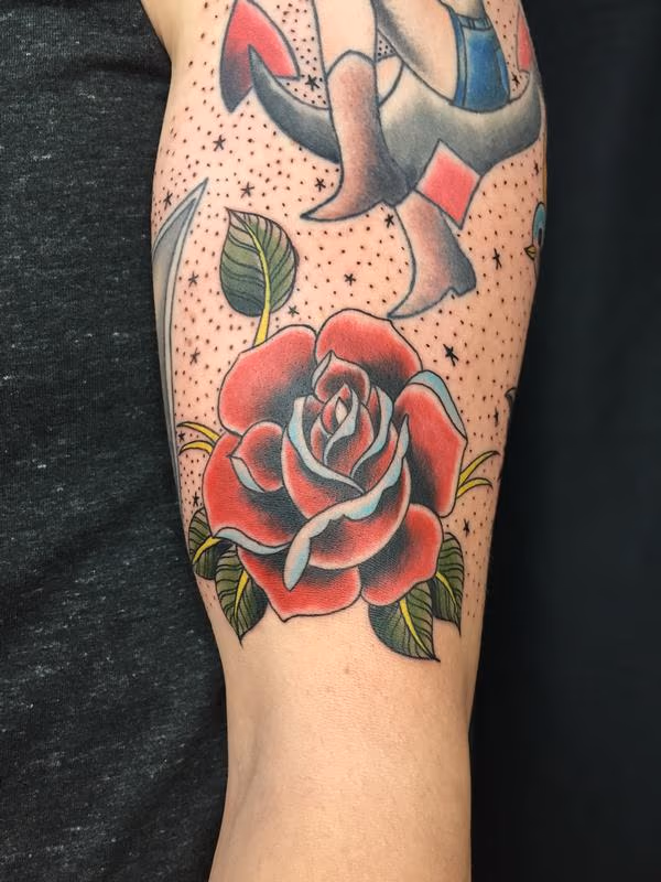 traditional roses