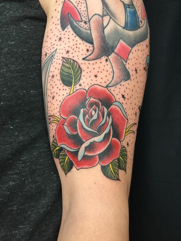 traditional roses