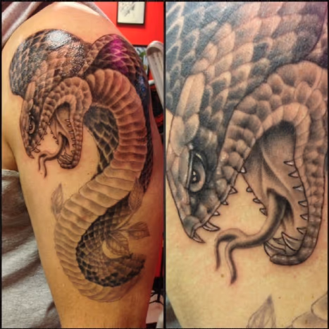 Cobra