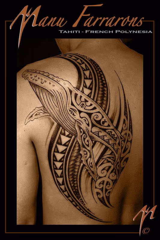 Tribal Whale