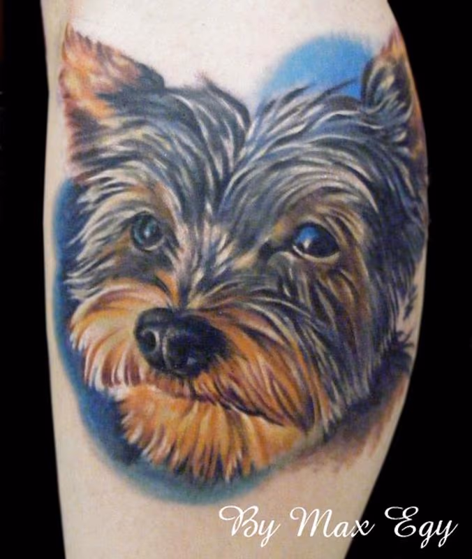 Custom Yorkie portrait