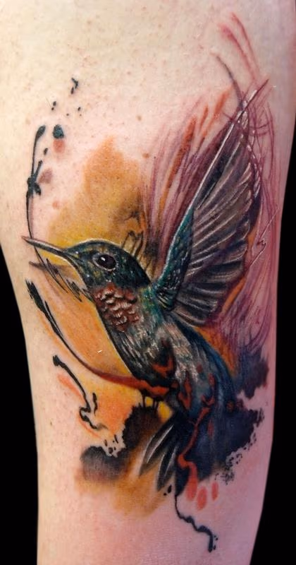 Humming Bird