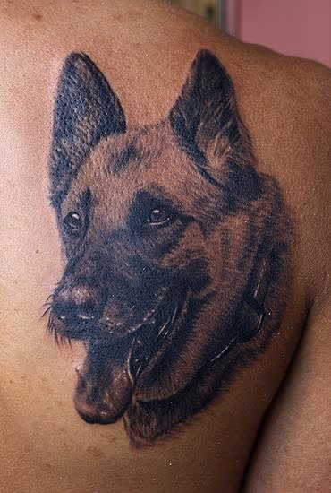 german shepherd dog tattoo