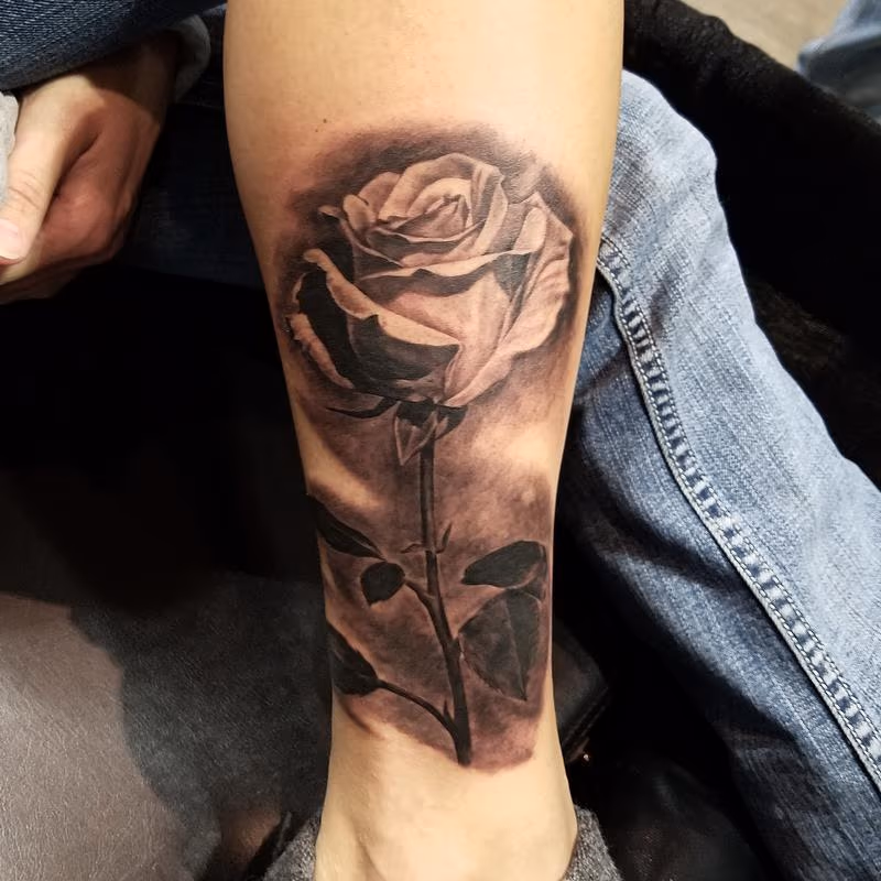single rose