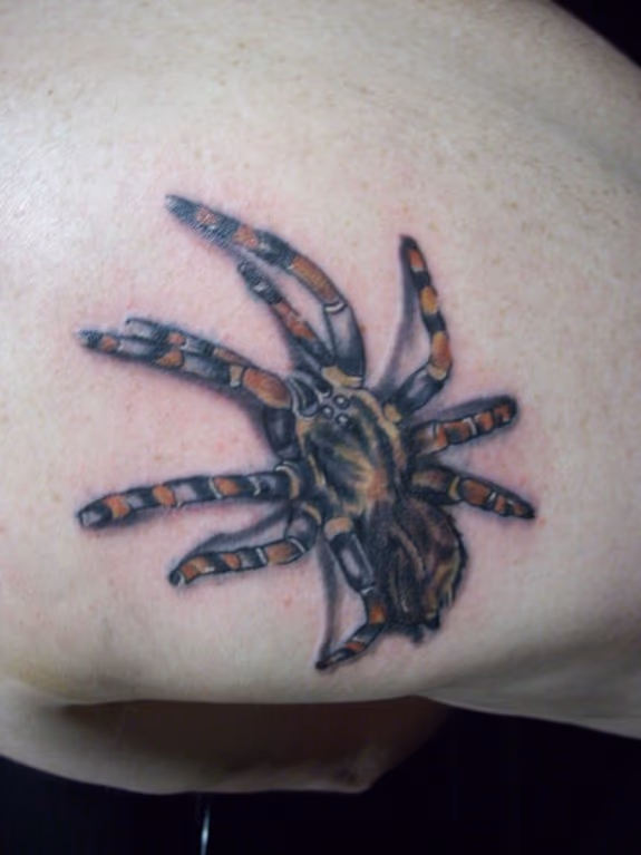 Spider Tattoo