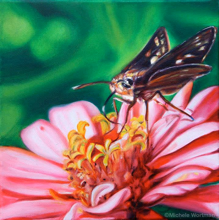 Butterfly 4 '10