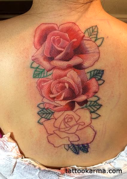 Roses in progress