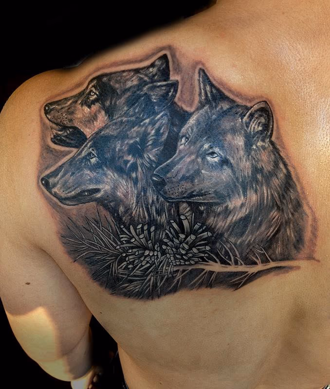 Wolfs pack