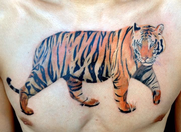Tiger chest in progress