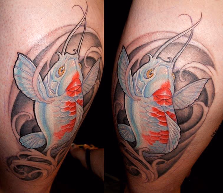 koi calf piece