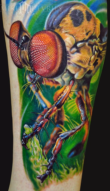Robber Fly