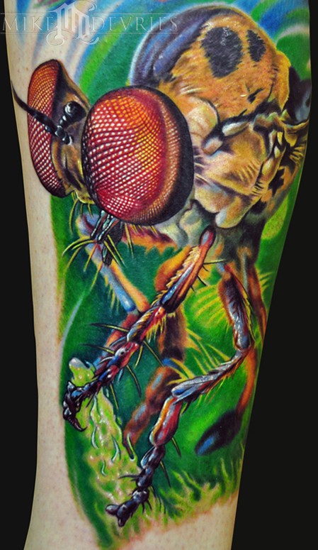 Robber Fly