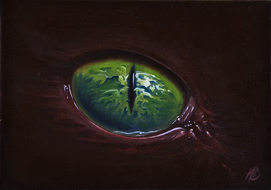 Eye Lost