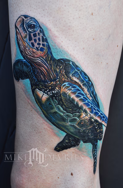 Sea Turtle