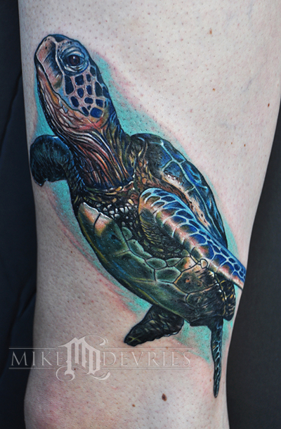 Sea Turtle