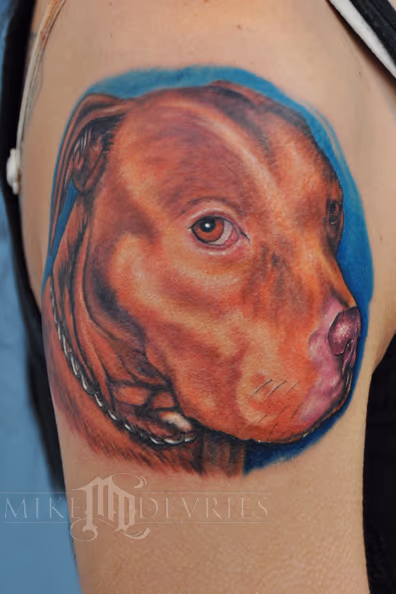 PitBull Tattoo
