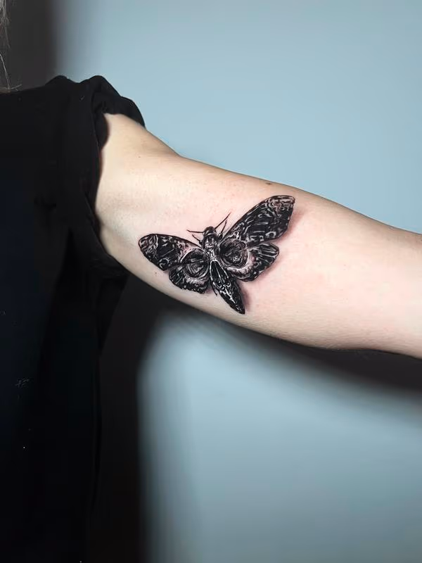 Realistic Death Moth Skull Tattoo