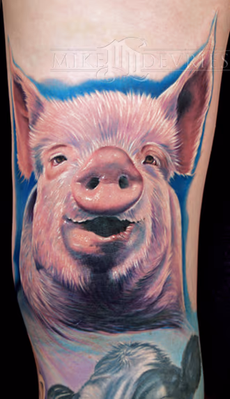 Pig Tattoo