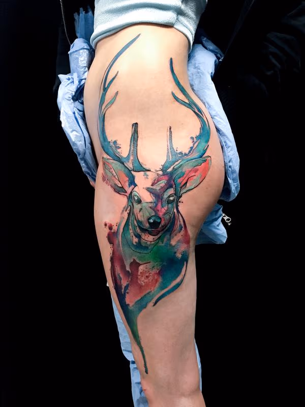Deer