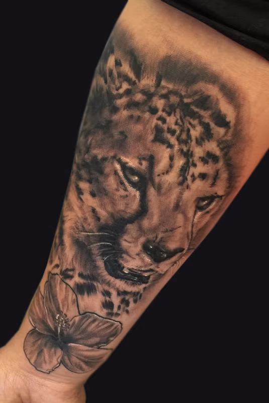 Cheetah