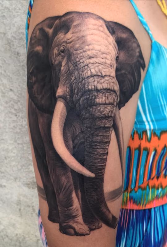 Ele