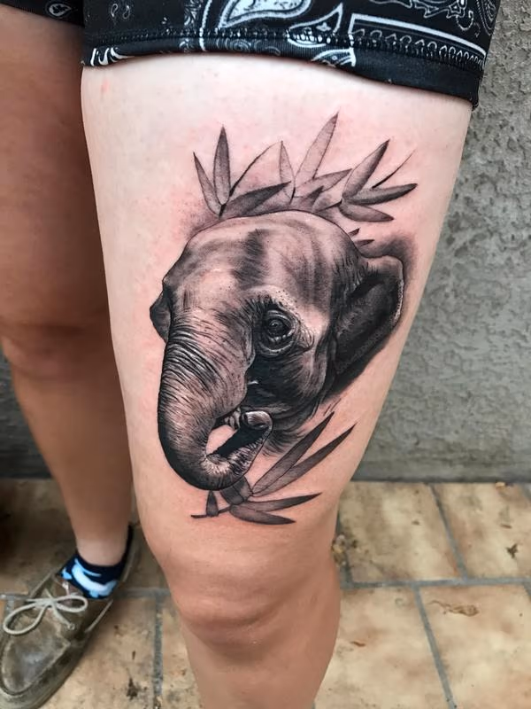 Elephant