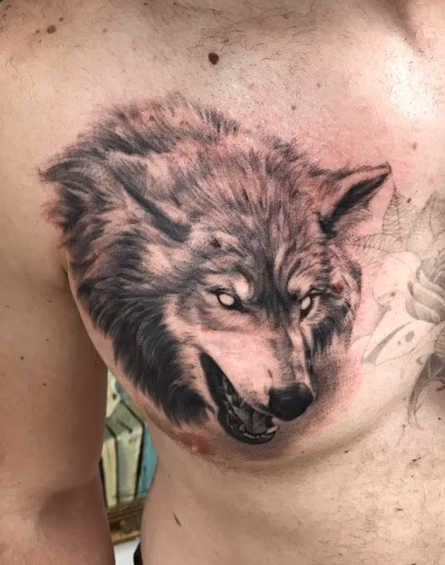 Wolf 2