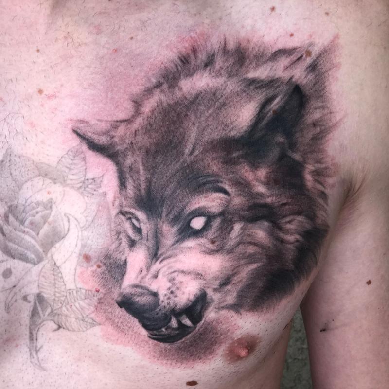 Wolf 1