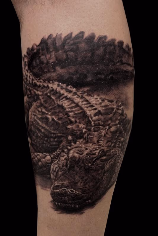 Gator