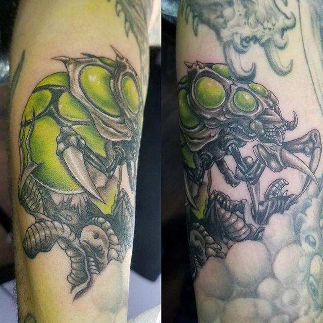 Alien Insect
