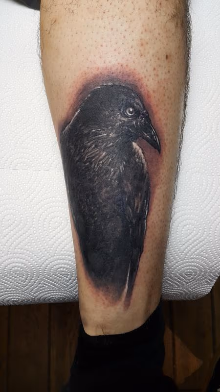 Raven Tattoo