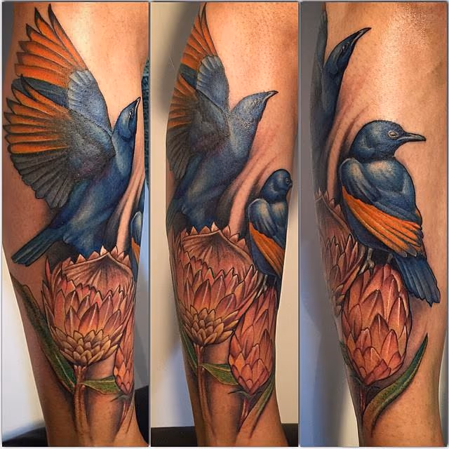 Starlings and Proteas