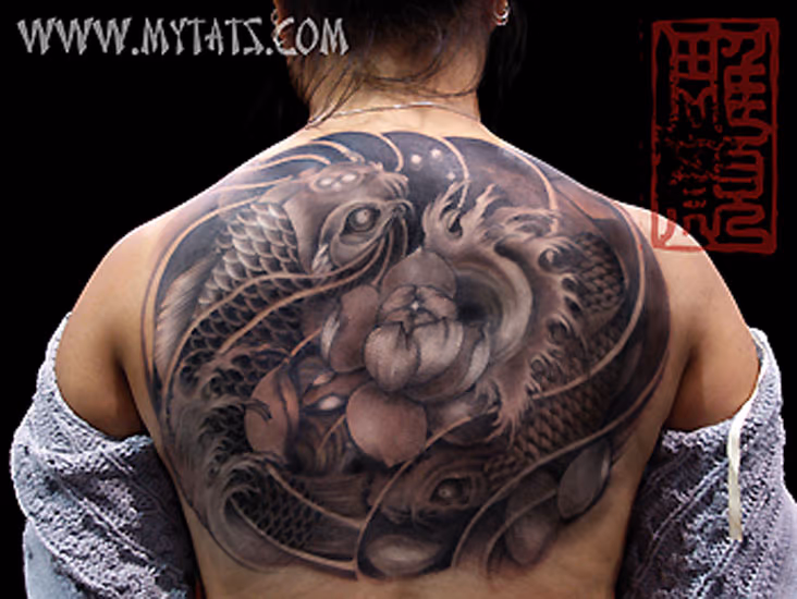 Koi around Lotus