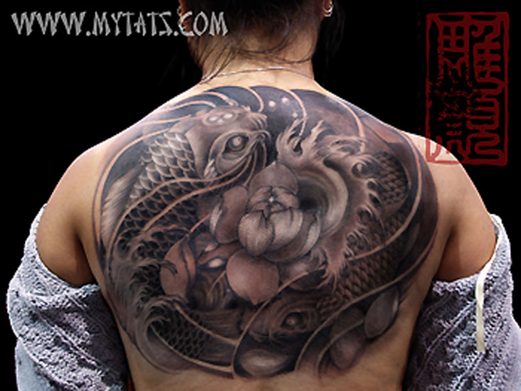 Koi around Lotus