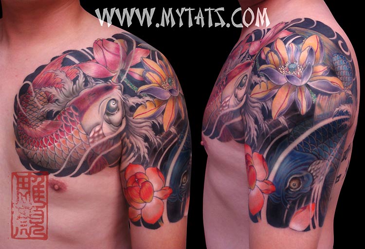 Koi around Lotus