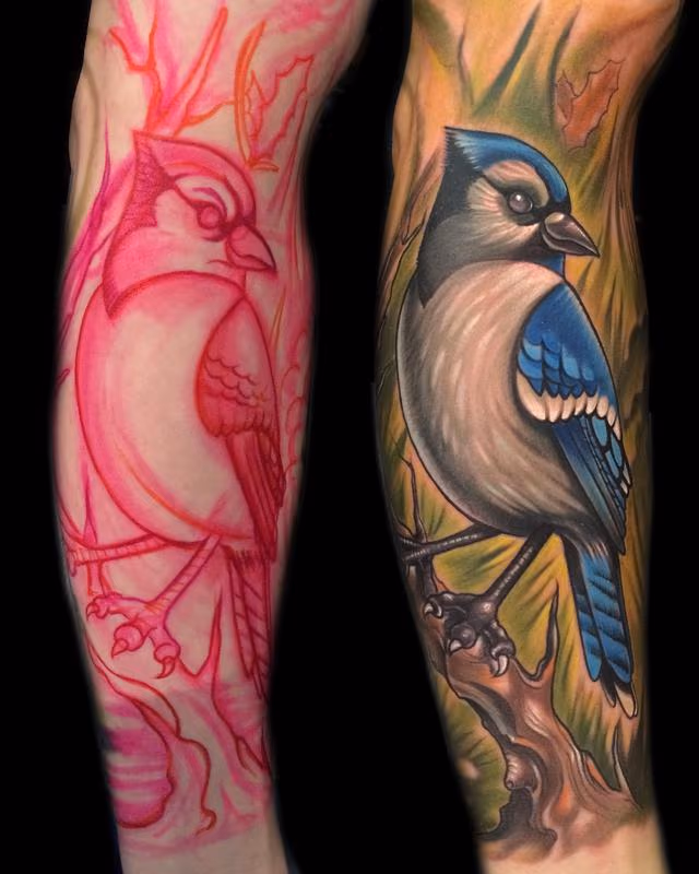 Blue Jay