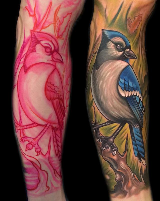 Blue Jay