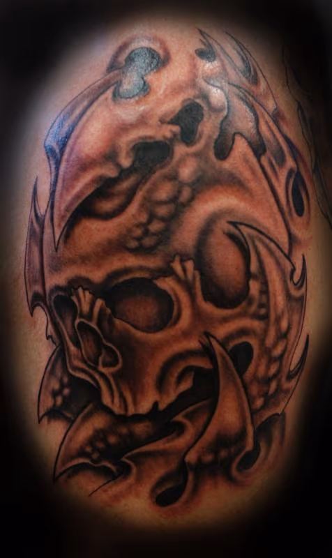 black and grey bio mech skull