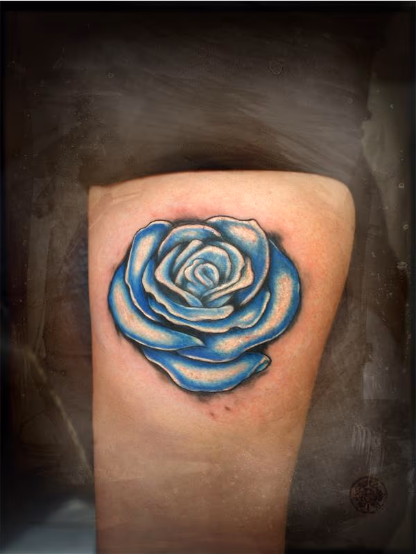 a blue rose