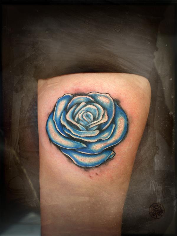 a blue rose