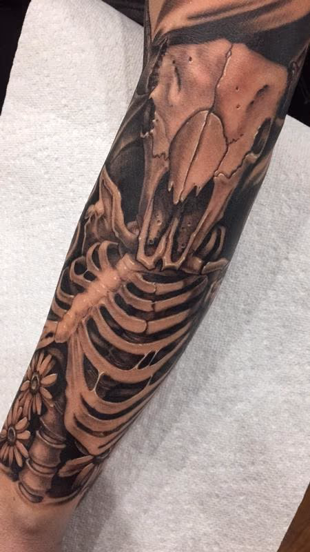 Ram skeleton