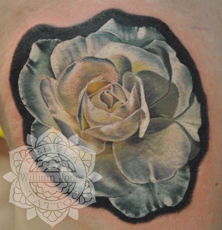 White rose