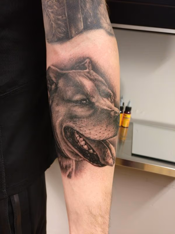 Black and grey dog portrait