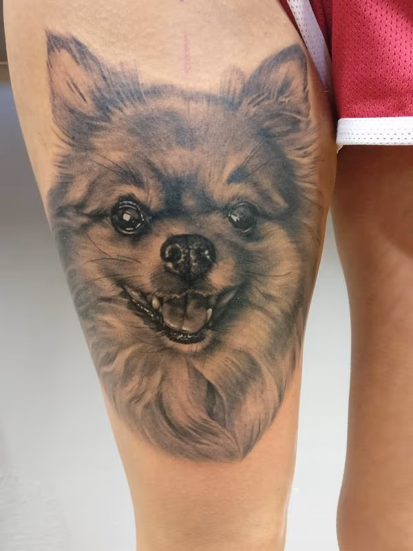 Dog portrait
