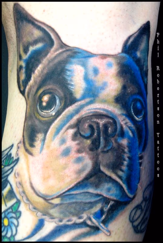 Boston terrier color tattoo
